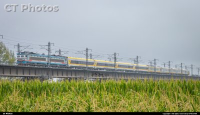 黄色大列