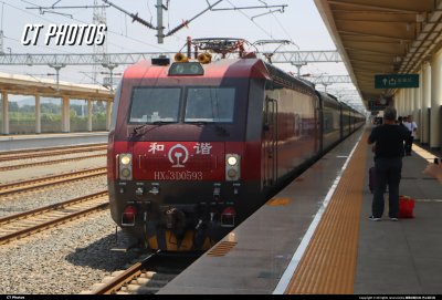 T40