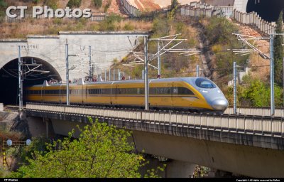 黄老鼠