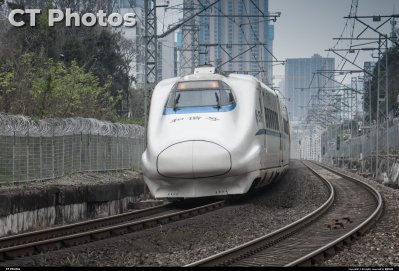 非统型带鱼