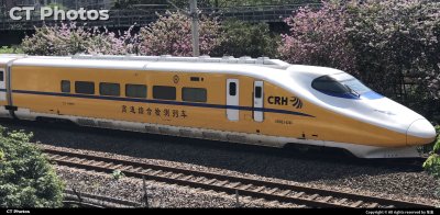 黄带鱼