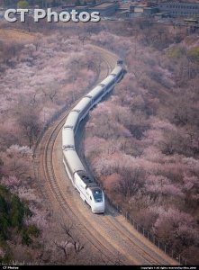 居庸关花海栈道S弯