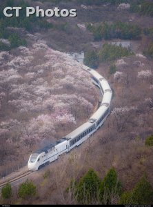 居庸关花海栈道C弯