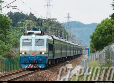 尼康就得打鸟
