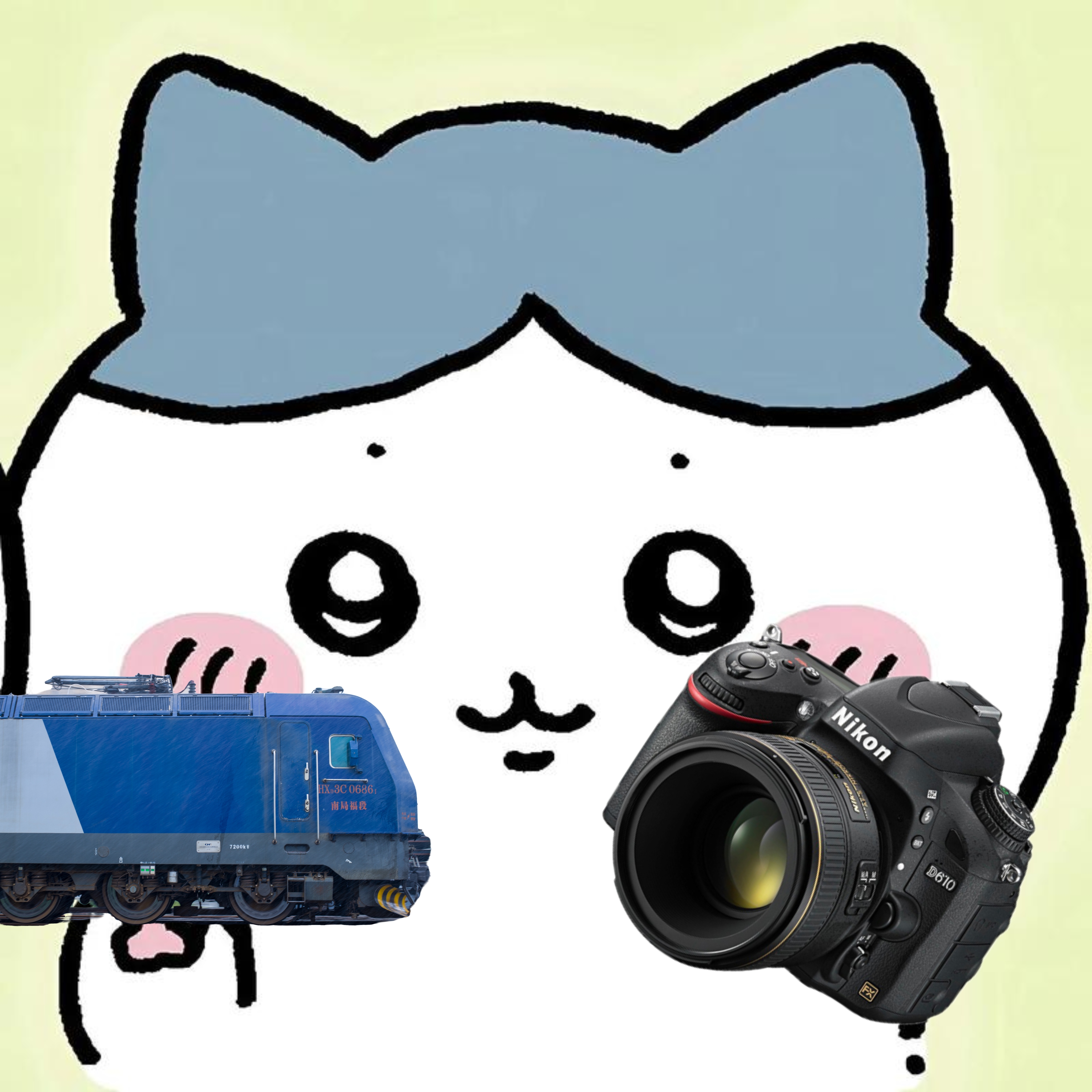 ²⁴