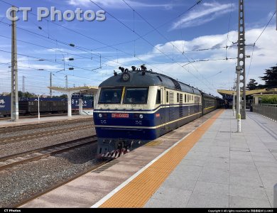 青岛最后的狮子