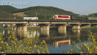 晚春初夏时的沈丹小票