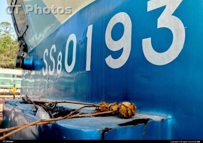 花枯了……却等不到你