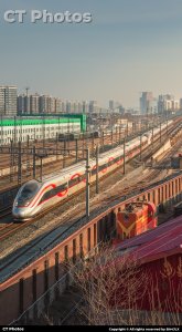 奔赴下一场团圆