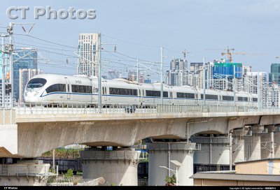 广湛高铁上的兔子