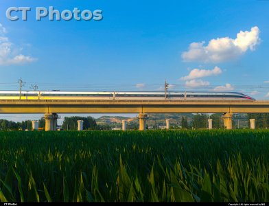 在希望的田野上