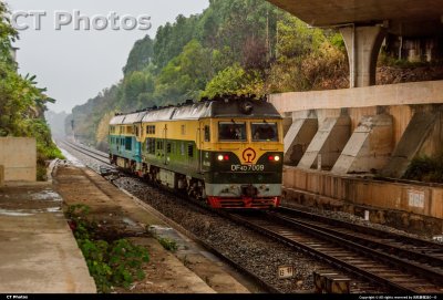 两只老虎跑得快