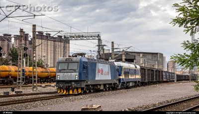 来自哈密的来客