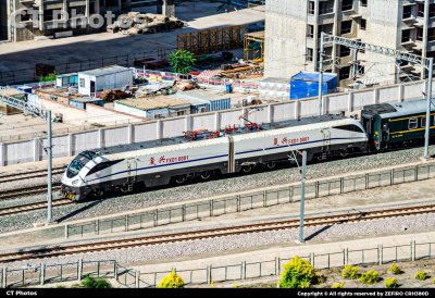 最后的白色妖姬