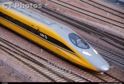 黄老鼠光顾中原站