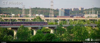 万丛绿中一抹红