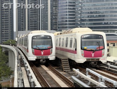 “南沙小轻轨”两车交汇