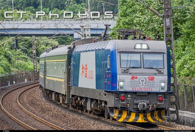 鲜艳231